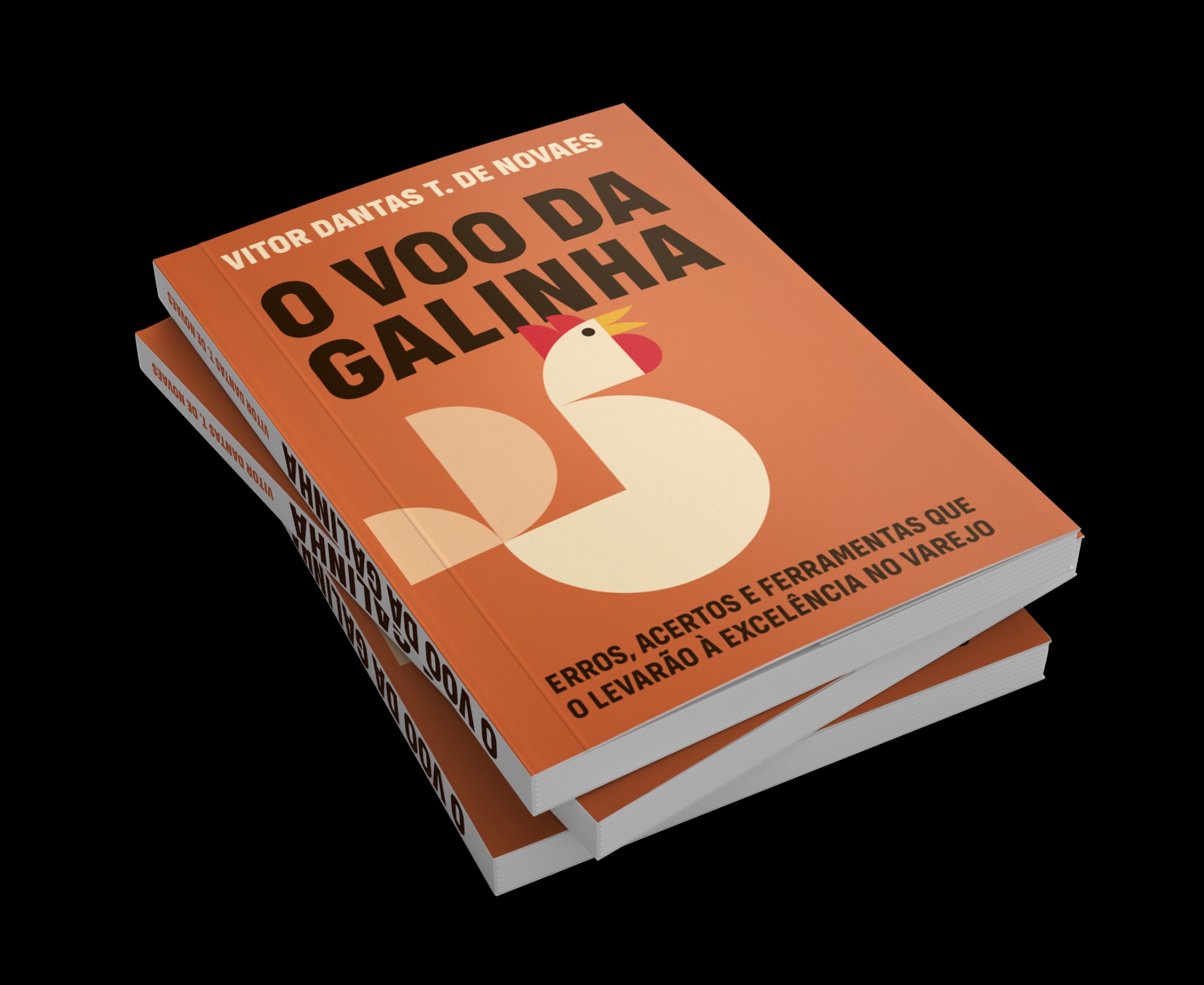 Capa do Livro O Vôo da Galinha